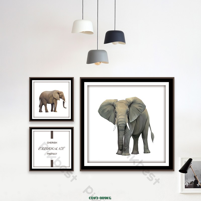 Động vật CDV3-009KG